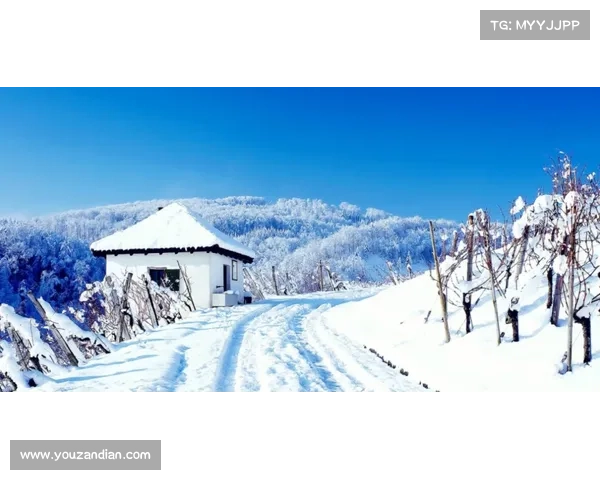 冬日湖畔雪景中的诗意时光如何打磨与体验自然的静谧与温暖 冬日湖畔雪景中的诗意时光如何打磨与体验自然的静谧与温暖